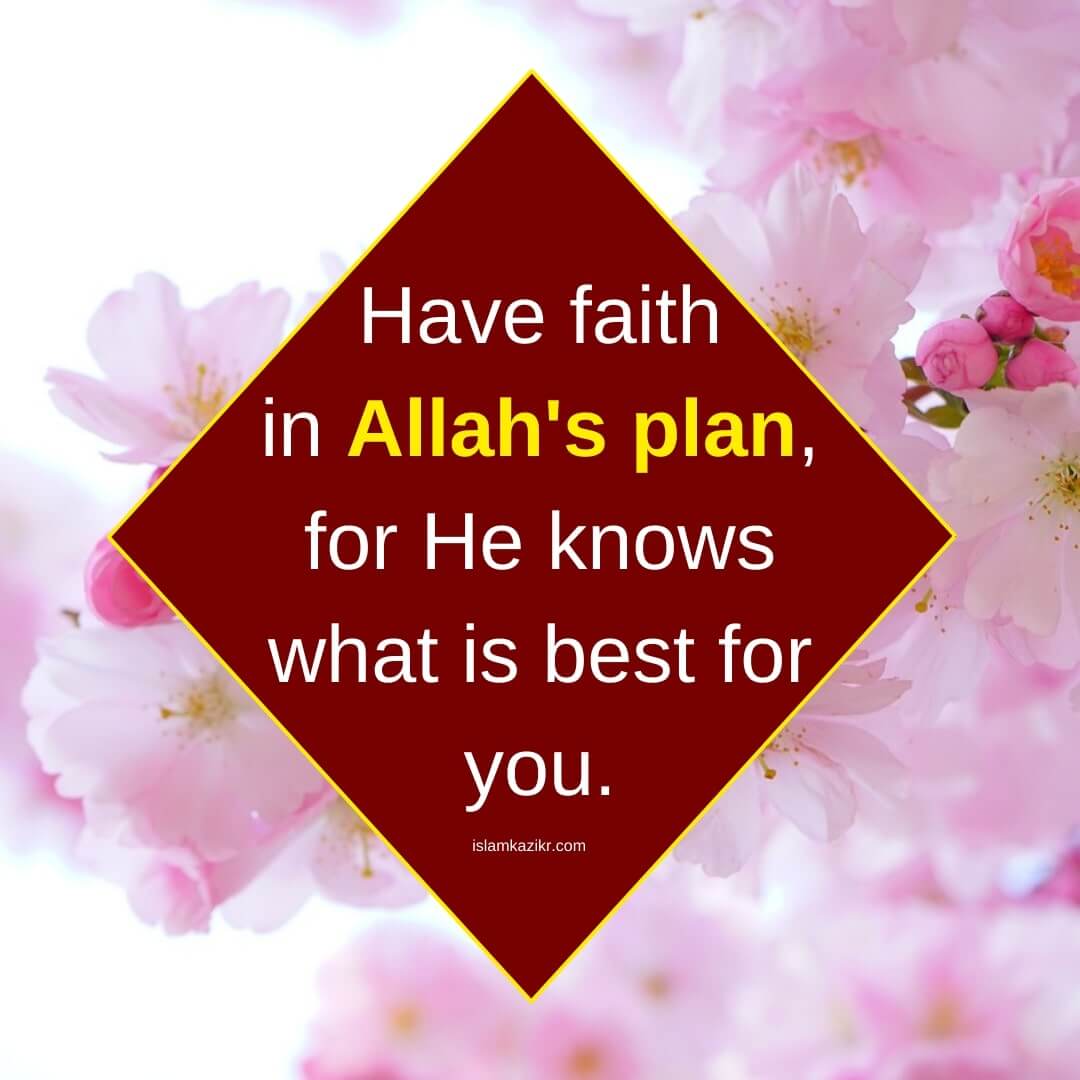 Have faith in Allah's plan - Islamic about for WhatsApp in English