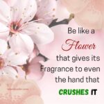Be like a Flower that gives its fragrance to even the hand that crushes it meaning