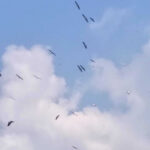 Rizq or Sustenance is from Allah