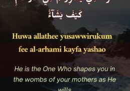 Reflection on Al-Musawwir