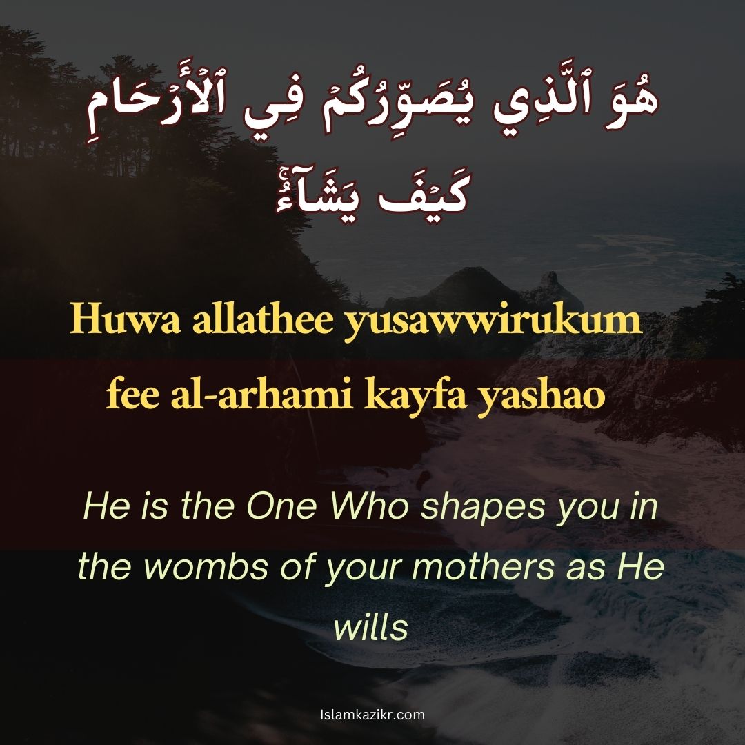 Reflection on Al-Musawwir