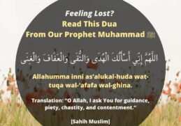 Read This Dua from Prophet Muhammad (PBUH)
